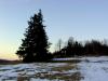 Kliknij by wejść 020_t1.jpg